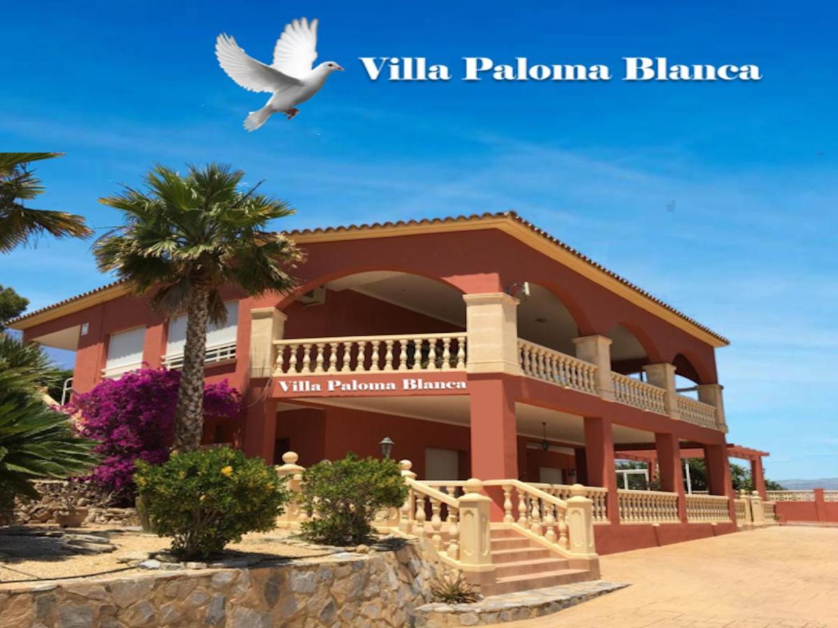 Villa Paloma Blanca El Albir Zewnętrze zdjęcie