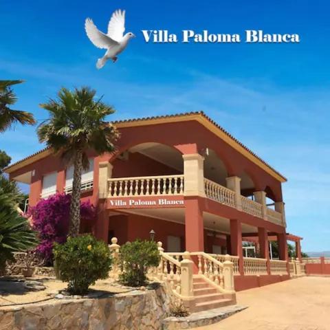 Villa Paloma Blanca El Albir Zewnętrze zdjęcie